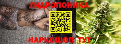 герыч Кингисепп