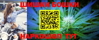 a pvp Камышлов