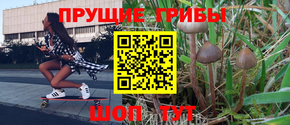 Когалым  Псилоцибиновые грибы Cubensis  Псилоцибиновые грибы Psilocybe  Вход с VPN 