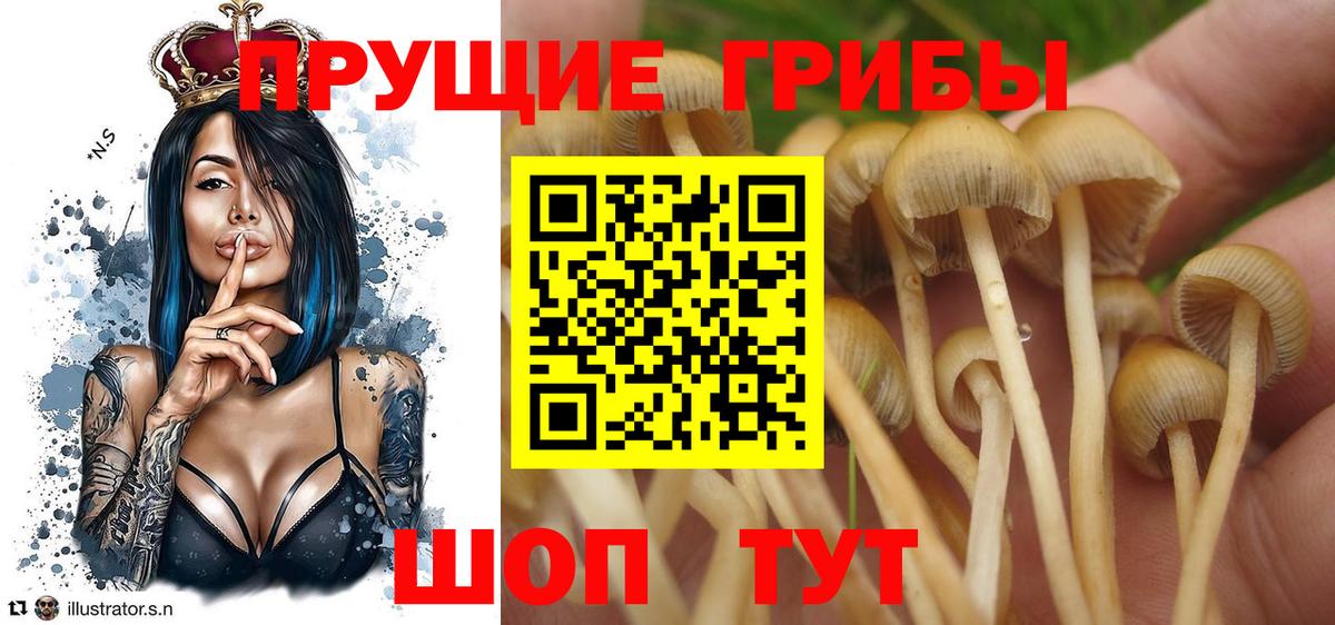 Псилоцибиновые грибы MAGIC MUSHROOMS Когалым