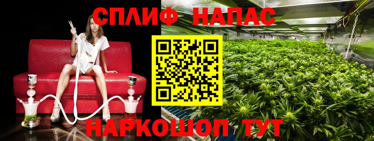 Каннабис планчик Когалым